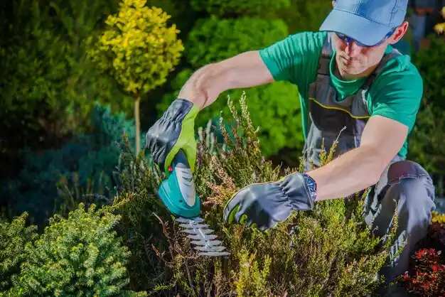 landscaping services Ross